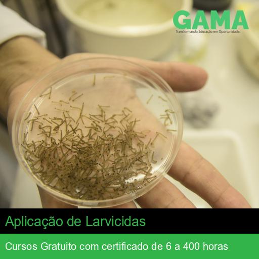 Aplicação de Larvicidas